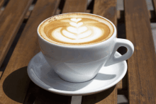 Cappuccino Cappuccino